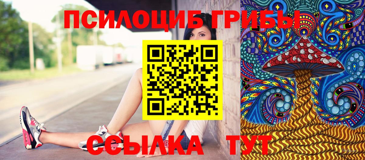 Петрозаводск  купить наркоту  Вход с VPN  Псилоцибиновые грибы Psilocybine cubensis 